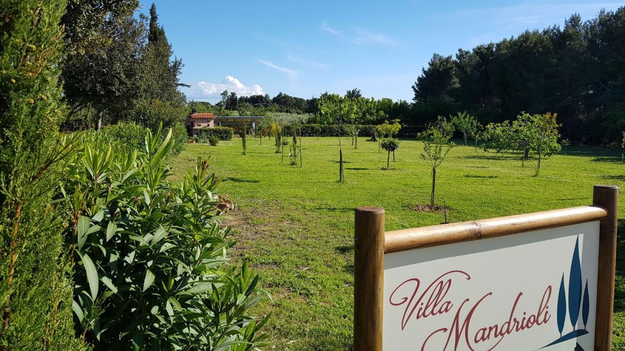Villa Mandrioli Cecina  Exterior foto